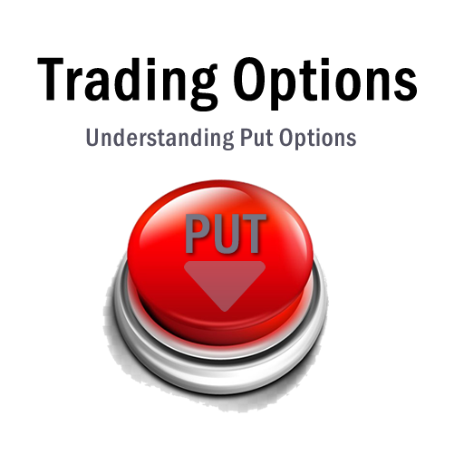 Protect Your Portfolio: Mastering Put Options in a Down Market