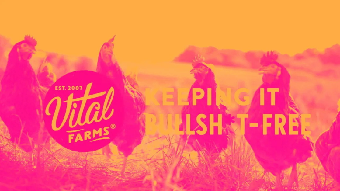 Vital Farms (NASDAQ:VITL) Delivers Impressive Q4, Stock Soars