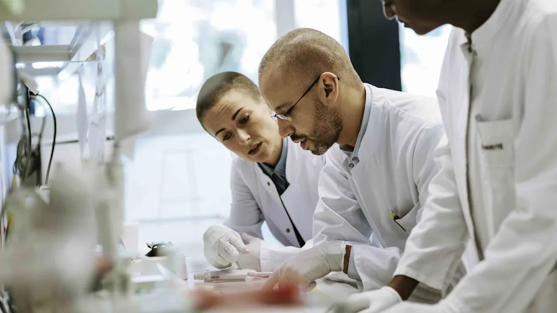 Edgewise Therapeutics Stock Plummets on Drug Trial ‘Adverse Events’