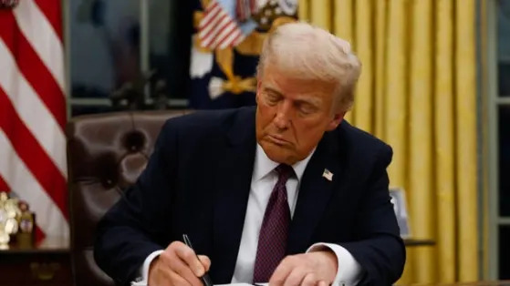 The S&P 500 hits a record high as Trump’s tariff threats fail to spook markets