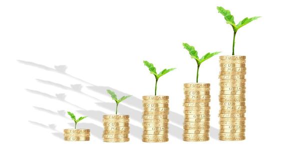 Cocoa Prices Plummet as Global Demand Collapses, Hitting 8-Month Low