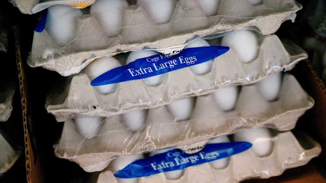 First Watch Stock Slips as Executives Warn of Egg Costs Hurting Margins