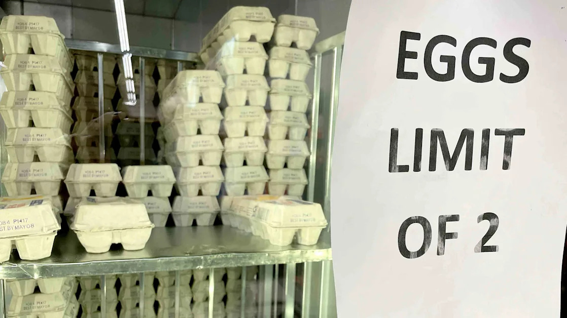 Cal-Maine Stock Sinks as DOJ Egg Price Probe Outweighs Surging Sales, Profits