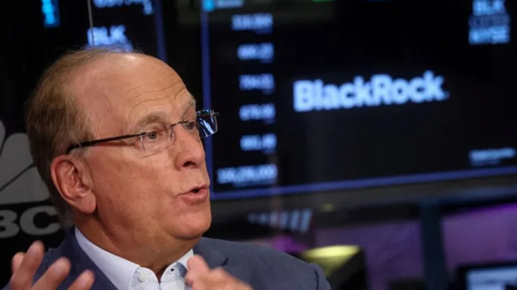BlackRock ties Fink’s pay to private market expansion