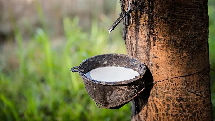 Why is the global rubber market likely to see shortages in 2025?
