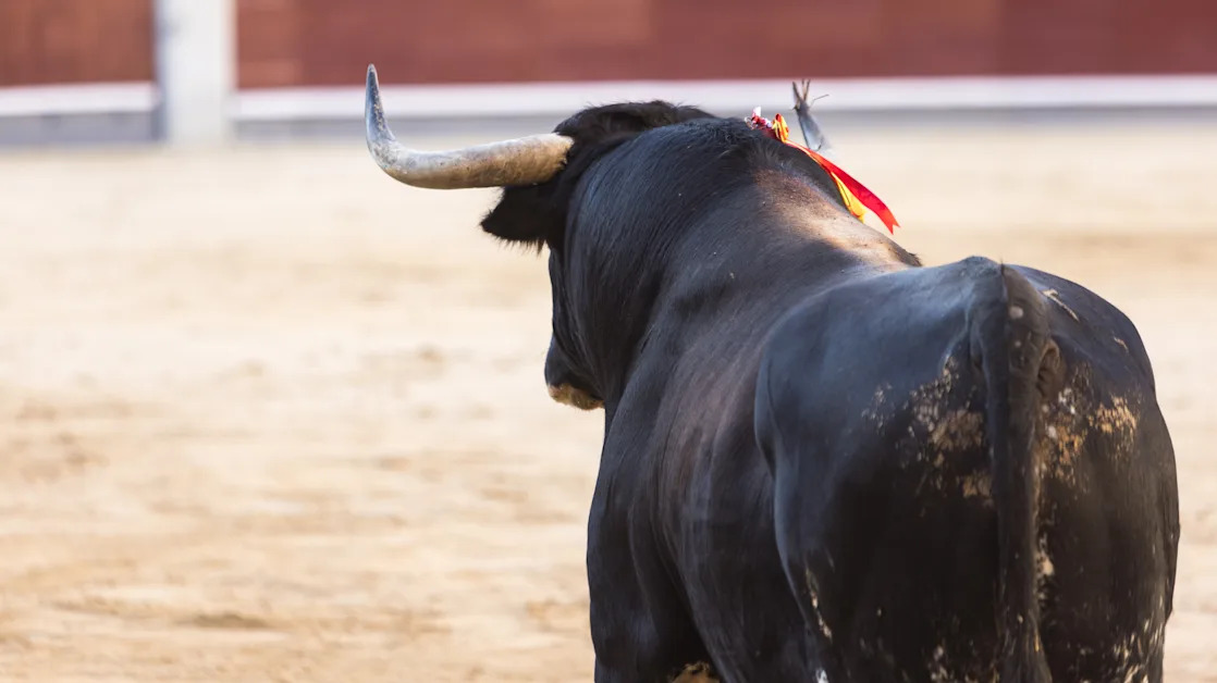 Why Goldman’s 2025 stock market downgrade is actually bullish