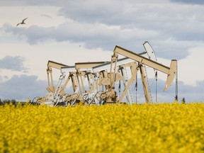 Canada Fears Trade War as Ottawa Prepares Energy Export Retaliation