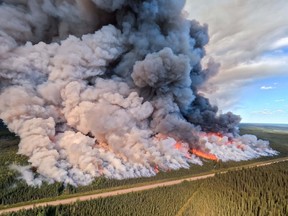 Wildfires Drive Lumber Price Surge Fears